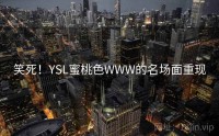 笑死！YSL蜜桃色WWW的名场面重现