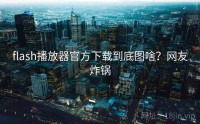 flash播放器官方下载到底图啥？网友炸锅