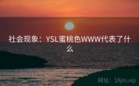 社会现象：YSL蜜桃色WWW代表了什么