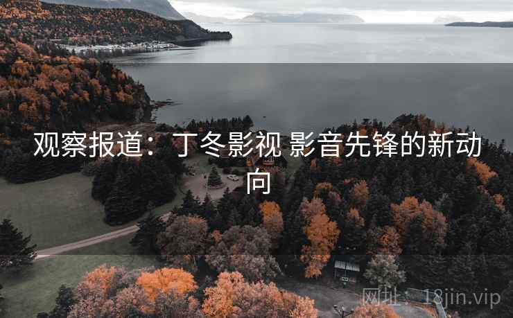 观察报道:丁冬影视 影音先锋的新动向 观察报道:丁冬影视 影音先锋的新动向